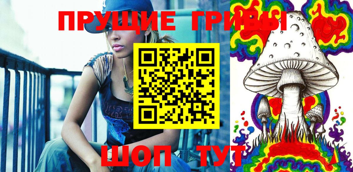 Гатчина  Псилоцибиновые грибы GOLDEN TEACHER  Вход с VPN  Псилоцибиновые грибы Psilocybe 